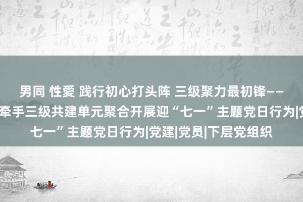 男同 性愛 践行初心打头阵 三级聚力最初锋——市南区纪委监委机关牵手三级共建单元聚合开展迎“七一”主题党日行为|党建|党员|下层党组织