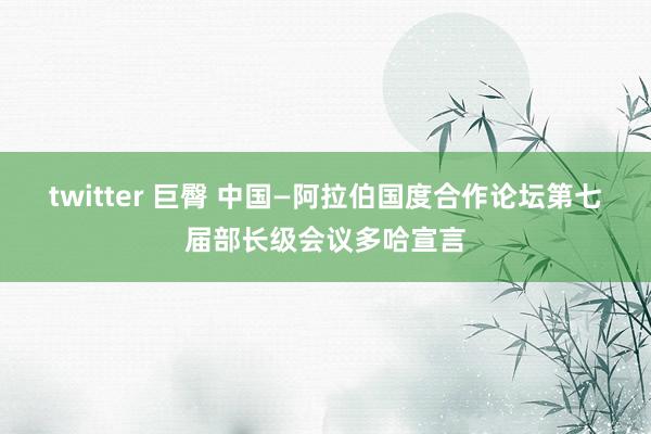 twitter 巨臀 中国—阿拉伯国度合作论坛第七届部长级会议多哈宣言